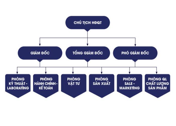 Sơ đồ tổ chức